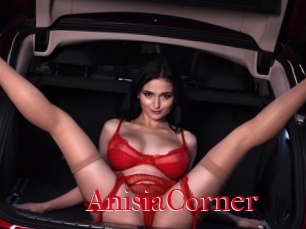 AnisiaCorner