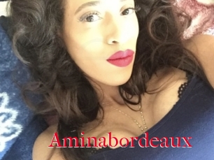 Aminabordeaux