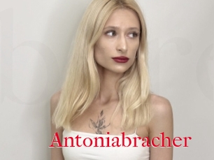 Antoniabracher