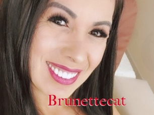 Brunettecat