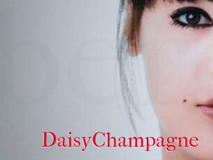 DaisyChampagne