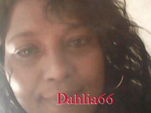 Dahlia66