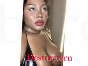 Destinytorn