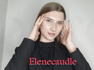 Elenecaudle