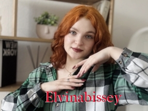 Elvinabissey