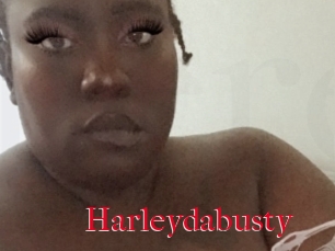 Harleydabusty