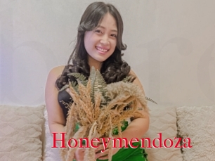 Honeymendoza