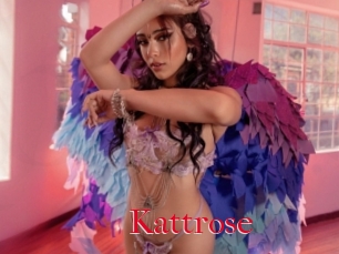 Kattrose