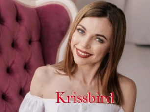 Krissbird