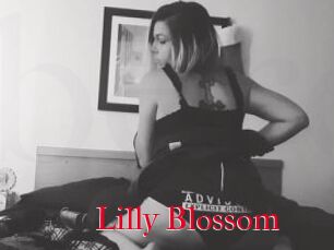 Lilly_Blossom