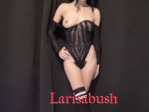 Larisabush