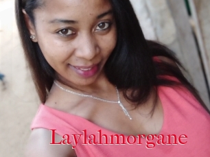 Laylahmorgane