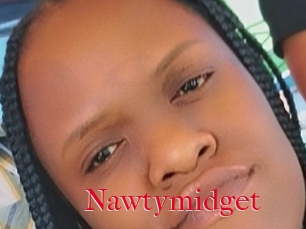 Nawtymidget