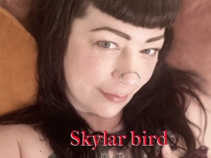 Skylar_bird