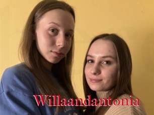 Willaandantonia