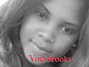 Ynesbrooks